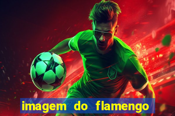 imagem do flamengo para perfil